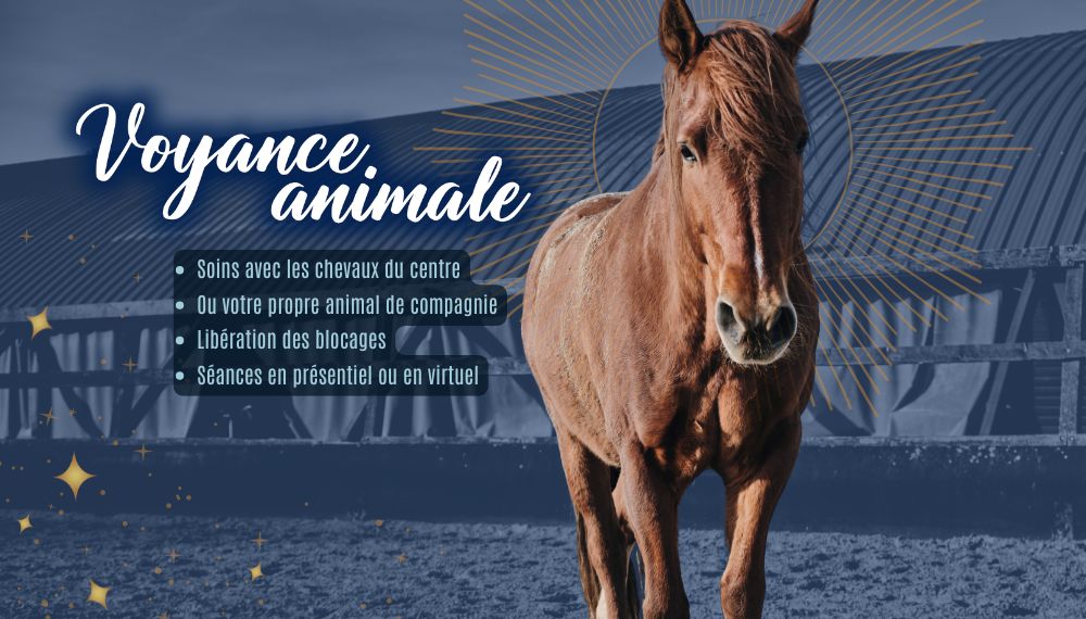 Voyance animal en Zoom